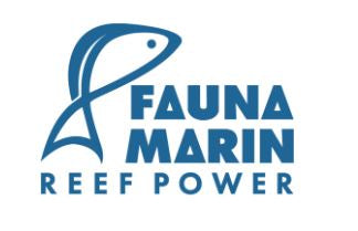 Fauna Marin at All Things Aquatic