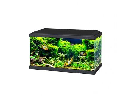 Tropical Fish Aquariums