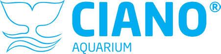 Ciano aquariums at All Things Aquatic