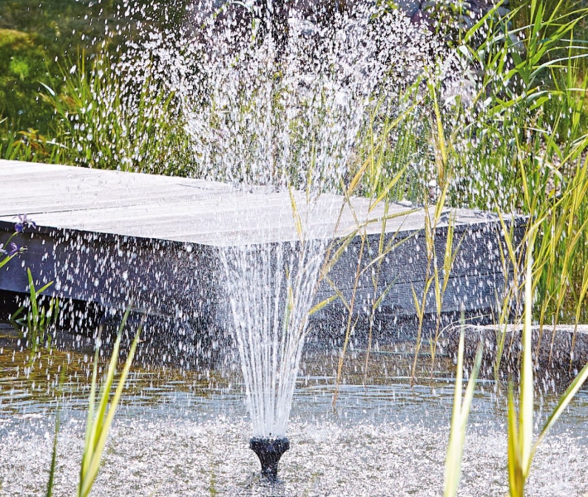 Feature Thigs Feature and Fountain Pumps - All Things Aquatic – tagged