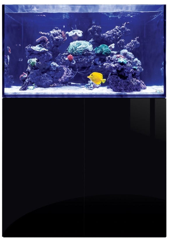 Marine Aquariums - All Things Aquatic