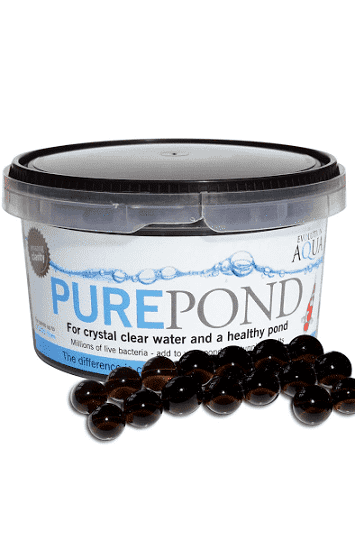 Pond Bacteria Supplements at All Things Aquatic