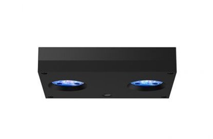 AI Hydra 32 HD LED Light - Black - All Things Aquatic