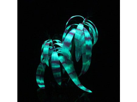 Aqua Lumo Purple Stripe Plant - All Things Aquatic