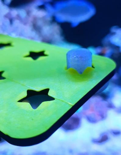 Aqua Print Slimline 30cm Flexigrip Rack - All Things Aquatic