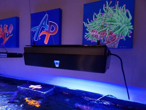 Aqua Print XR30 G5 G6 Light Shade - All Things Aquatic