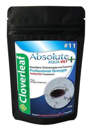 AQUA - VET MED - #11 ROUND WORM 100g - All Things Aquatic