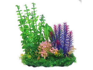 Betta 13" Green and Purple Combi Plant - All Things Aquatic