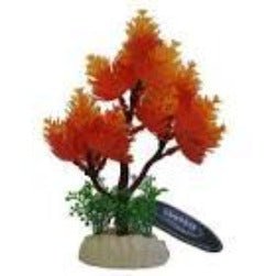 Betta 5" Orange Tree - All Things Aquatic