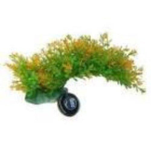Betta 9" Green & Yellow Bendy Branch - All Things Aquatic