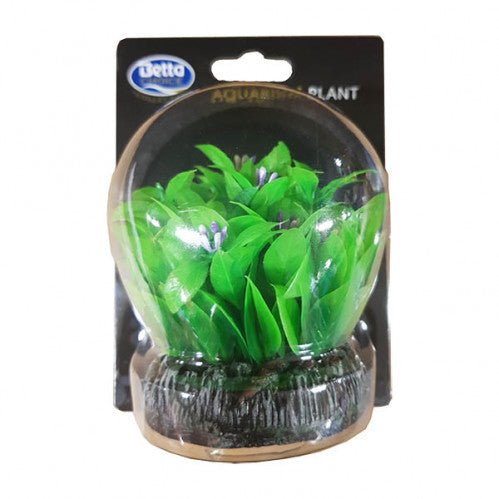 Betta round water blue bell plant - All Things Aquatic