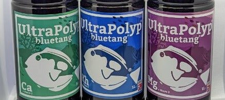 Bluetang Ultrapolyp System 5L - All Things Aquatic