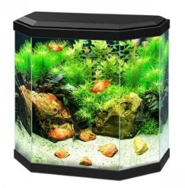 Ciano Aqua 30 LED - Black - All Things Aquatic