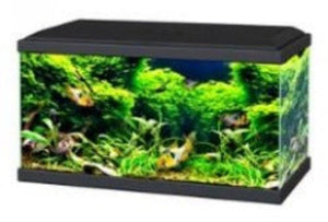 Ciano Aquarium 60 LED - All Things Aquatic