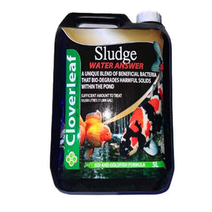 Cloverleaf Sludge Answer 5L - All Things Aquatic