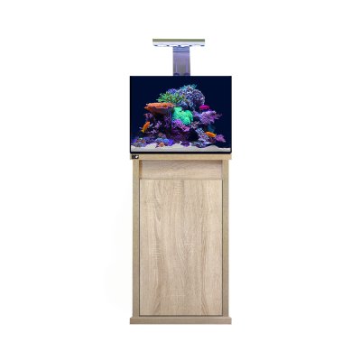 D - D REEF - PRO 600 Aquarium - Matt Platinum Oak - All Things Aquatic