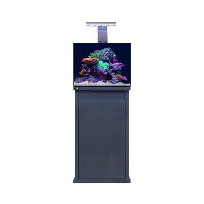 D - D REEF - PRO 600 Aquarium - Ultra Gloss Anthracite - All Things Aquatic