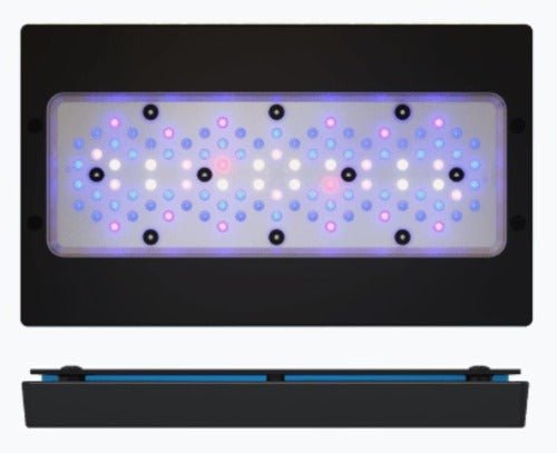 EcoTech Radion XR30 Blue G6 LED - All Things Aquatic