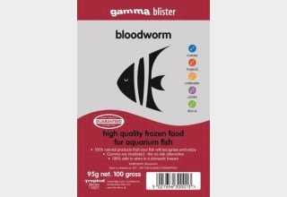 Gamma Bloodworm Blister - All Things Aquatic