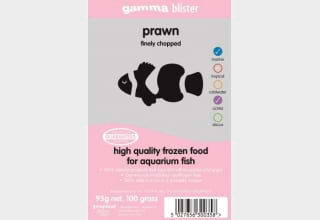 Gamma Frozen Prawn - All Things Aquatic