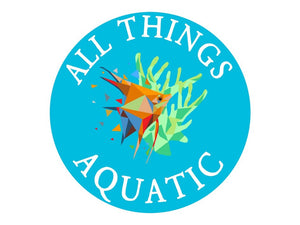 Half Moon Tail Fighter - All Things Aquatic