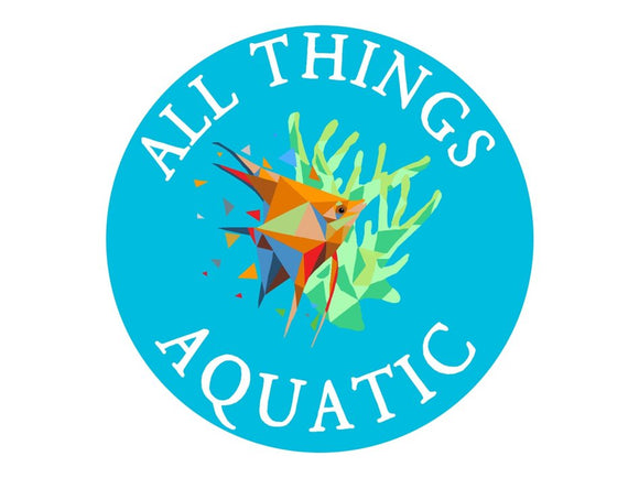 Half Moon Tail Fighter - All Things Aquatic