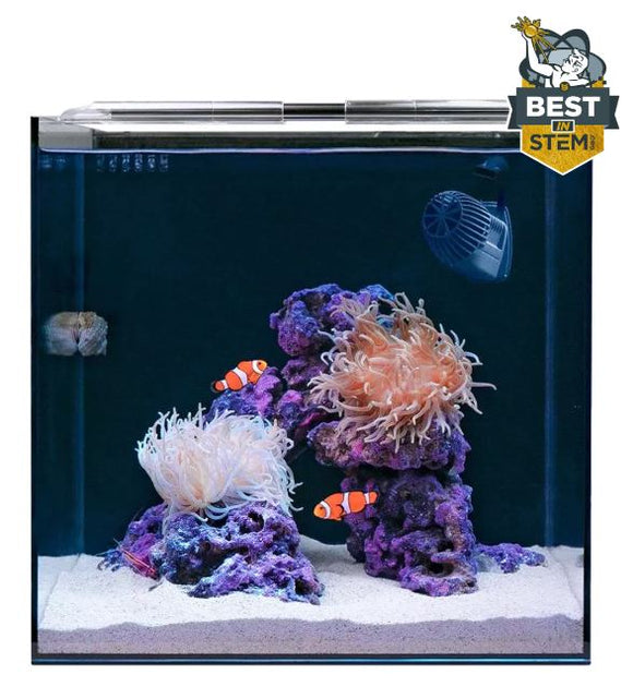 Hello Reef All In One Clownfish & Anemone Aquarium Kit - All Things Aquatic