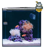 Hello Reef All In One Clownfish & Anemone Aquarium Kit - All Things Aquatic