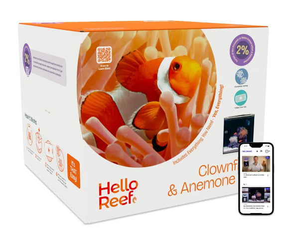 Hello Reef All In One Clownfish & Anemone Aquarium Kit - All Things Aquatic