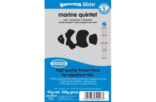 Marine Quintet Blister - All Things Aquatic