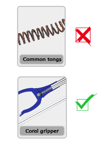 Maxspect Coral Gripper 60 - All Things Aquatic