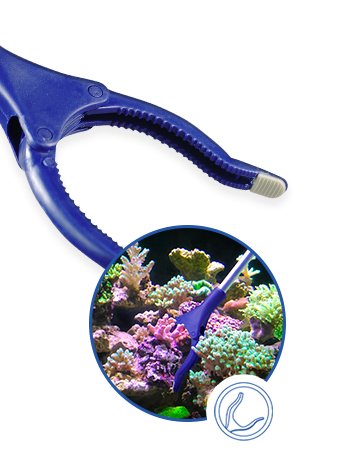 Maxspect Coral Gripper 83 - All Things Aquatic