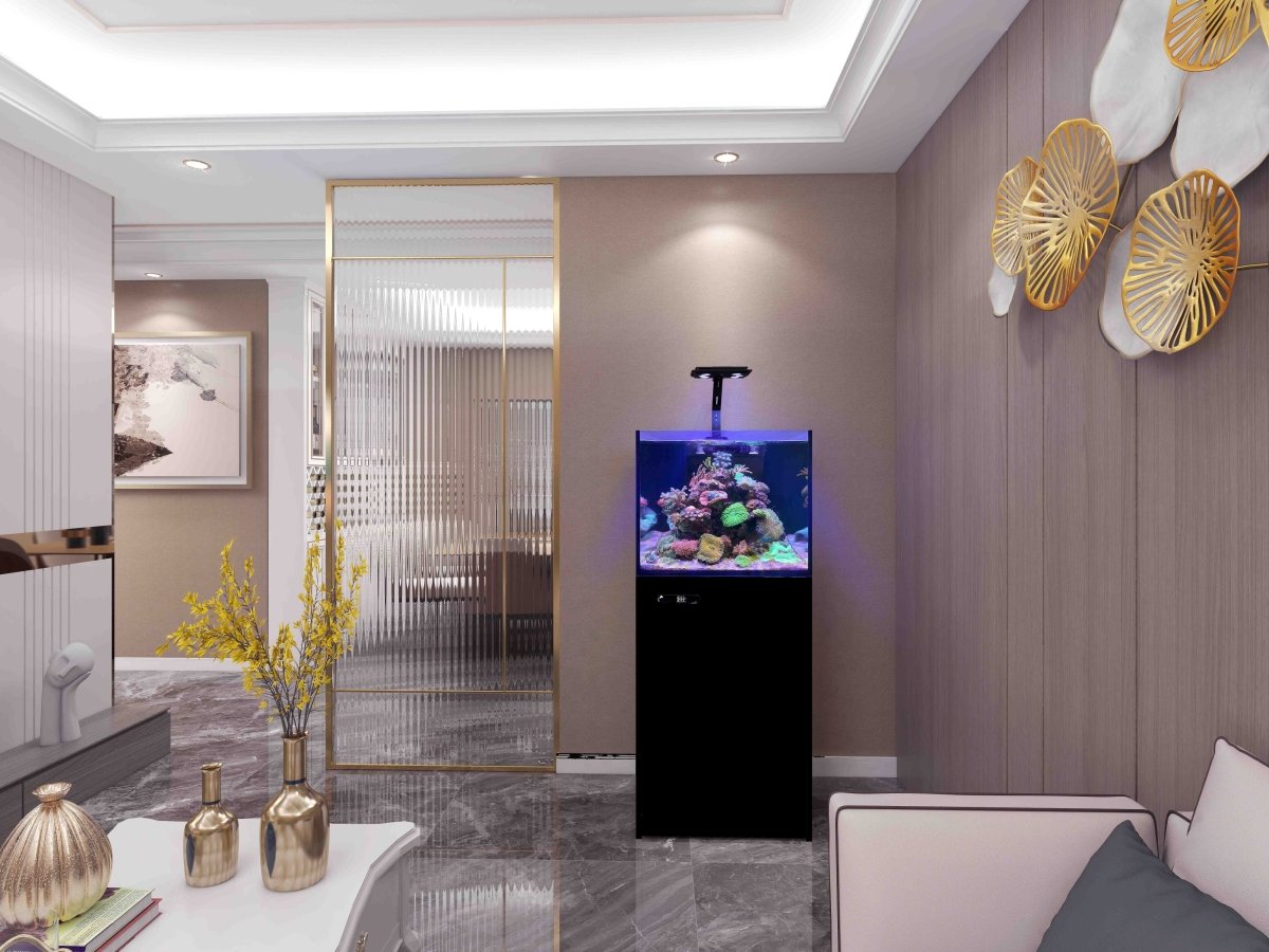 Maxspect Lagoon LS60 Reef Aquarium Kit - All Things Aquatic