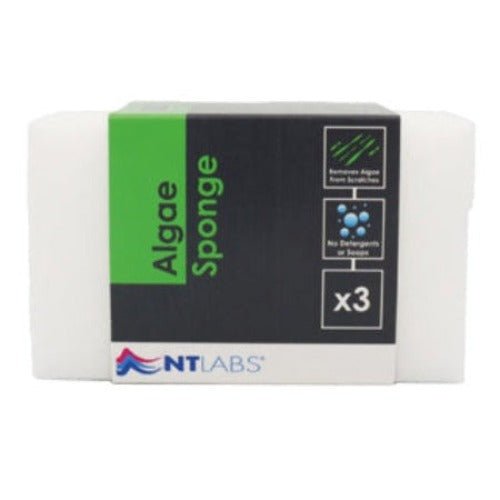 NT Labs Algae Sponge 3 Pack - All Things Aquatic