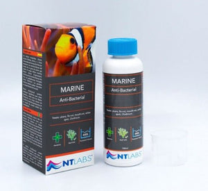 NT Labs Anti - Bacterial Marine 100ml - All Things Aquatic