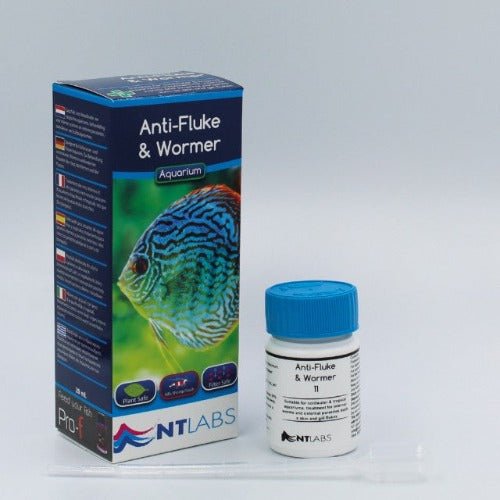 NT Labs Anti - Fluke and Wormer 20ml - All Things Aquatic