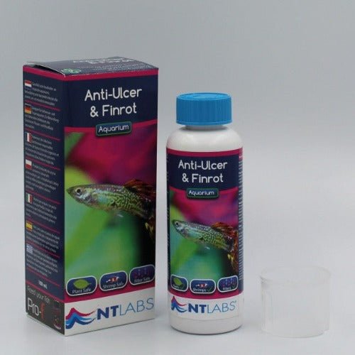 NT Labs Anti - Ulcer and Finrot - All Things Aquatic