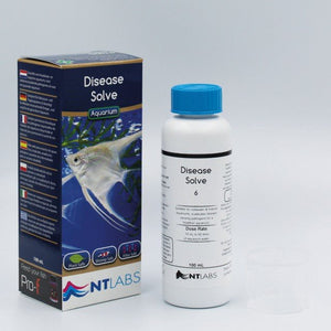 NT Labs Disease Solve - All Things Aquatic