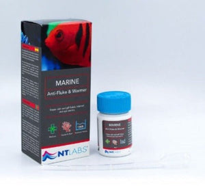 NT Labs Marine Anti - fluke and Wormer 20ml - All Things Aquatic