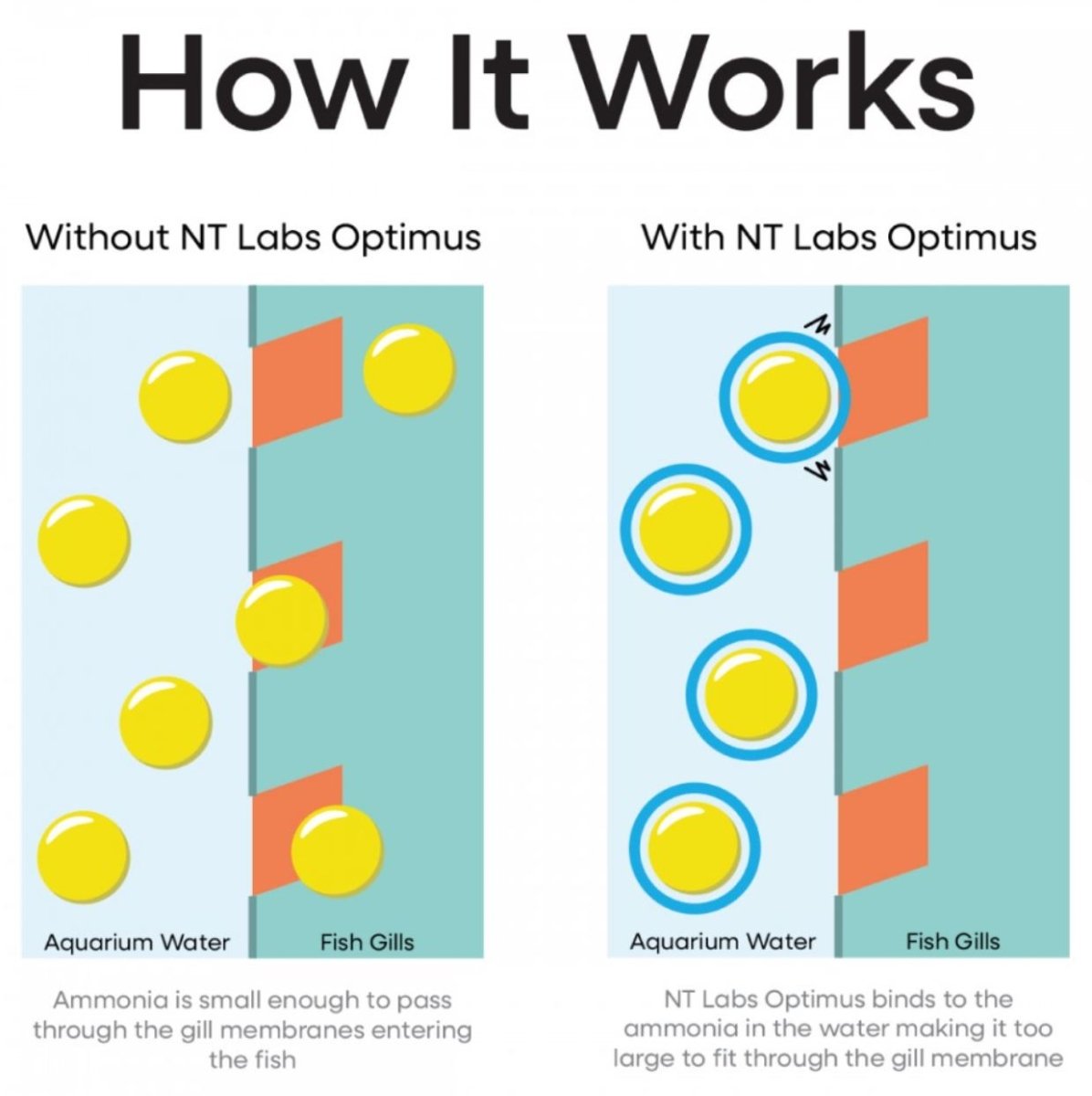 NT Labs Optimus Concentrated Dechlorinator 500ml - All Things Aquatic