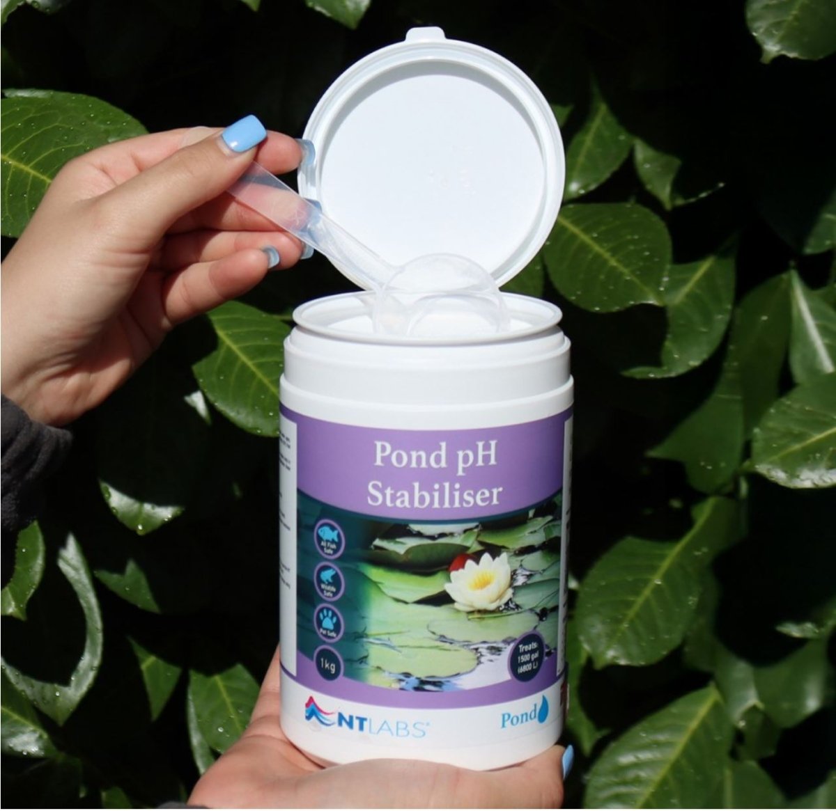 Nt Labs Pond pH Stabiliser 1kg - All Things Aquatic