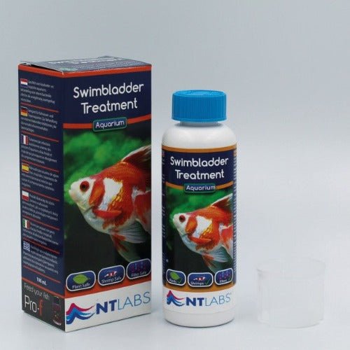 NT Labs Swimbladder Treatment 100ml - All Things Aquatic