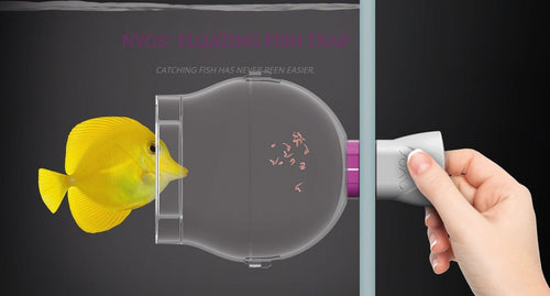 Nyos Floating Fish Trap - All Things Aquatic