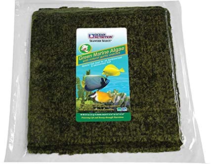 ON Green Marine Algae 50pk - All Things Aquatic