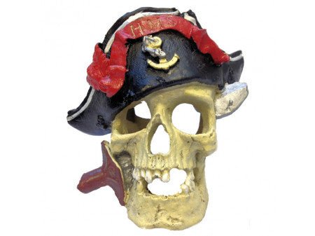 Pirate skull - All Things Aquatic