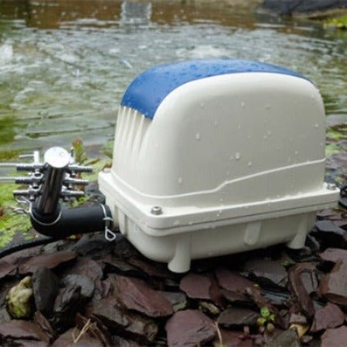 PondXpert Electro Air 2700 Pond Air Pump - All Things Aquatic