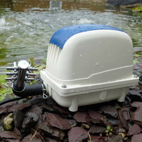 PondXpert Electro Air 3600 Pond Air Pump - All Things Aquatic
