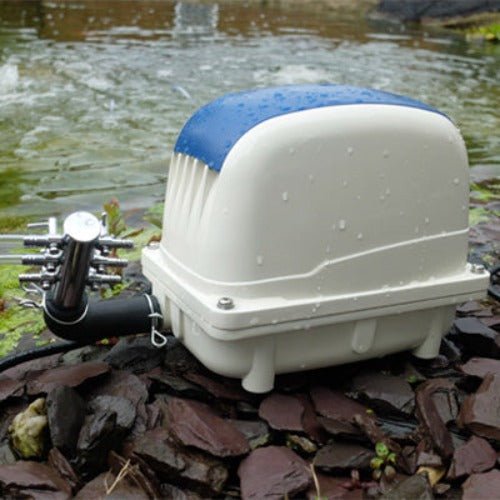 PondXpert Electro Air 6000 Pond Air Pump - All Things Aquatic