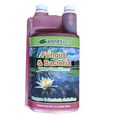 PondXpert Fungus & Bacteria 250ml - All Things Aquatic