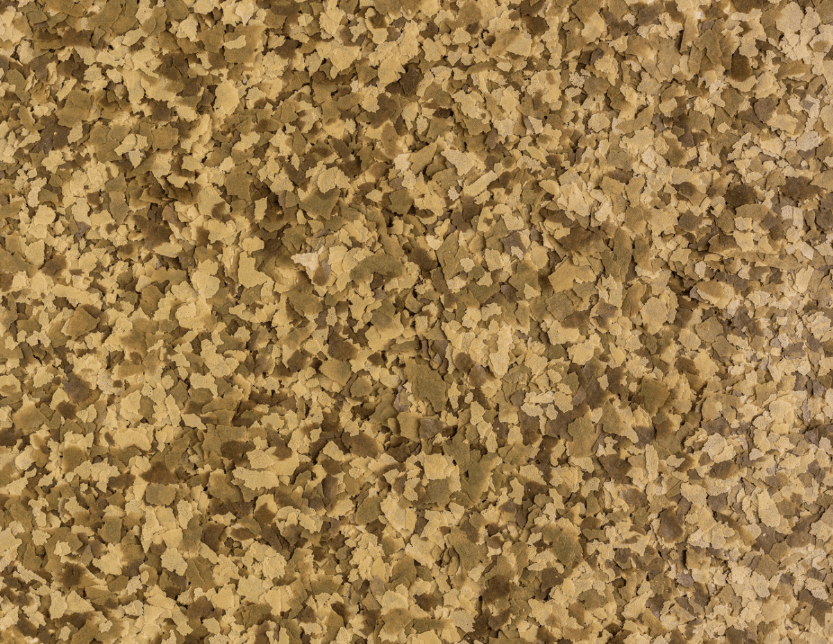 Tetra Goldfish Flake 100ml 20g - All Things Aquatic